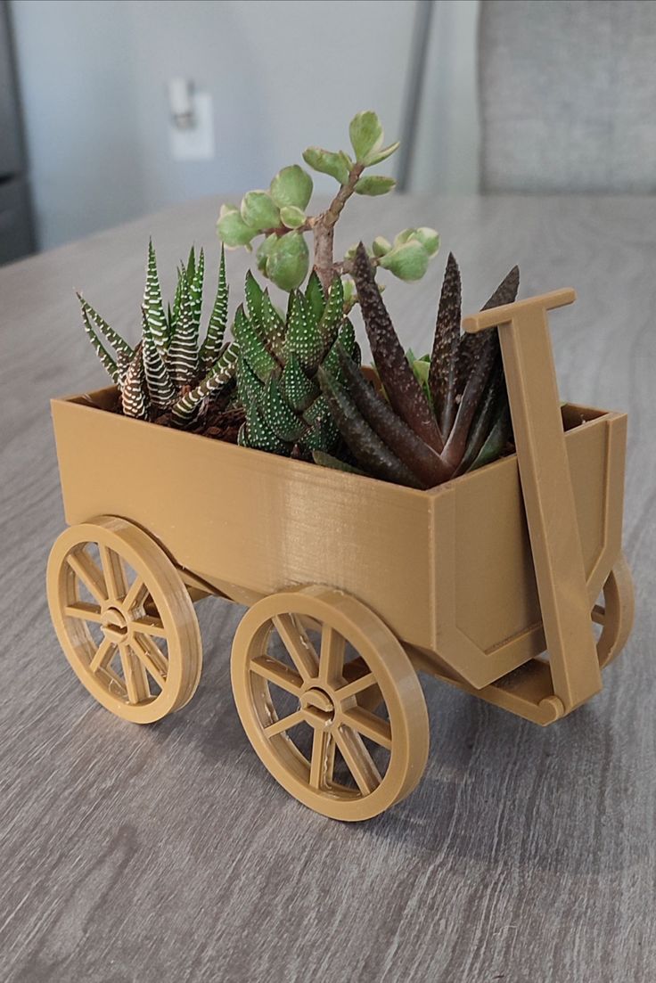 Succulent cart planter